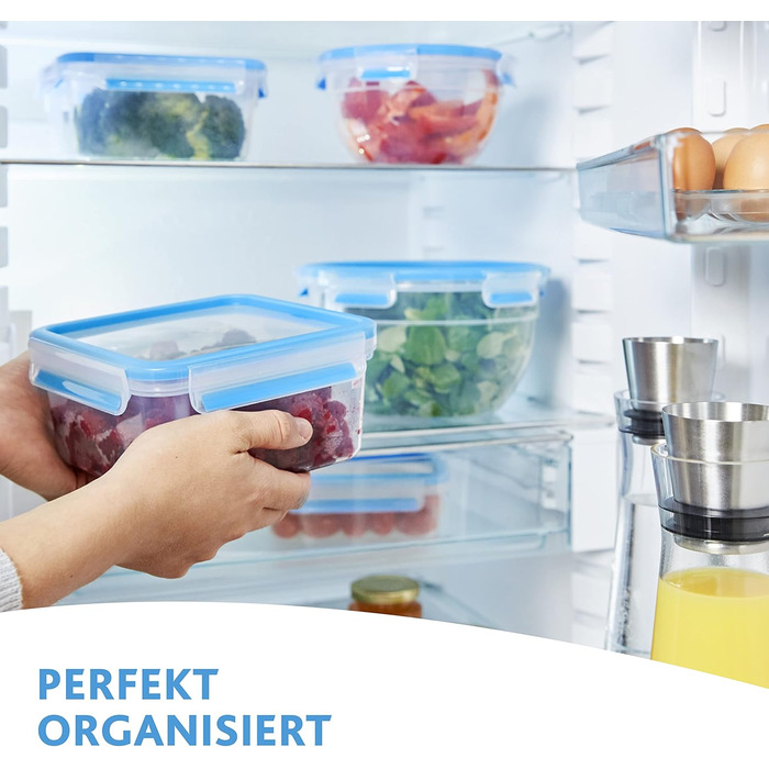 Набір контейнерів для зберігання продуктів EMSA Clip & Close, прямокутні, 5 x 0,8 л, коробки для зберігання, 100 герметичні, придатні для миття в посудомийній машині, морозильної камери та мікрохвильової печі, прозорі, сині, зроблені в Німеччині, N10307 (