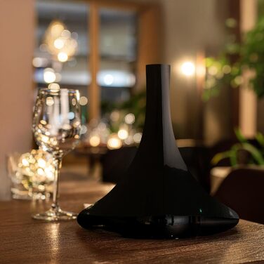 Декантер для вина 750 мл черный Stölzle Lausitz