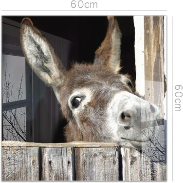 Кухонний фартух timalo зі скляним виглядом Акрилове скло 2 мм Бризкозахисна стіна для плити, скляний фартух, акрилові скляні стінові панелі, захисна панель для фартуха Бетонно-блакитно-сірий (60x60 см, 240- Donkey)