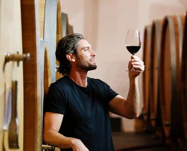Набір фужерів Shiraz / Syrah 650 мл, 2 шт, кришталь, Vinum, Riedel