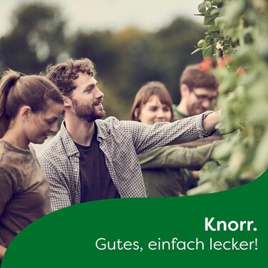Салатні крутони Knorr з цибулею для смачного салату без додавання підсилювачів смаку 20 шт. по 25 г 1 г (20 шт.)