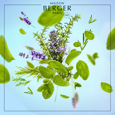 Аромат для лампы Maison Berger Paris FRESH WOOD, 500 мл