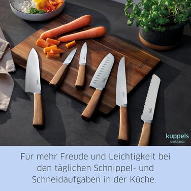 Набір ножів з дерев'яним блоком 5 предметів Kuppels