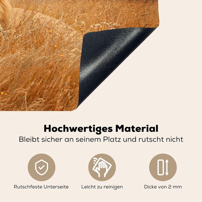 Фартух для плити, кухонний фартух, вініл, 78x52 см, декор для кухні, облицювання стіни, кришка для плити - сіро-чорна (Lev - Sunset, 52Д x 80Ш см)