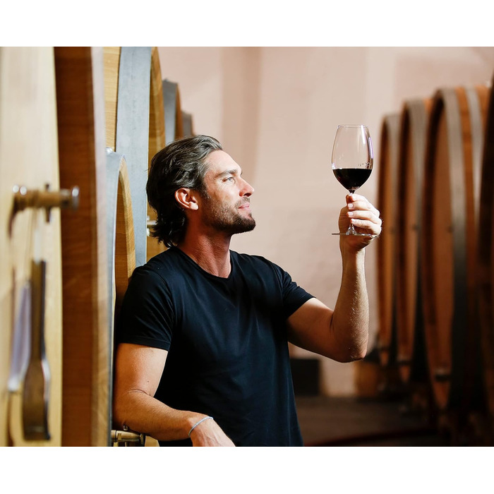 Набір фужерів Shiraz / Syrah 650 мл, 2 шт, кришталь, Vinum, Riedel
