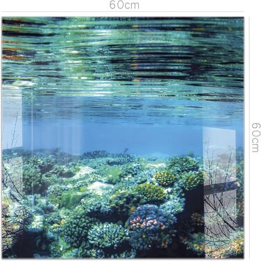 Кухонний фартух timalo зі скляним виглядом Північне море, очерет, захід сонця, океан, солома 2-мм акрилове скло Бризкозахисна стінка для плити, скляний кухонний фартух, акрилові скляні стінові панелі, захисна панель для фартуха (60 x 60 см, 311- Coral Ree