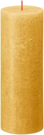 Свічки Bolsius Rustic Pillar - Оливково-зелені - Набір з 4 шт. - Декоративні побутові свічки - Час горіння 60 годин - Без запаху - Натуральний рослинний віск - Без пальмової олії - Оливково-зелені (19 x 7 см, охра-жовті)