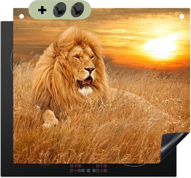 Фартух для плити, кухонний фартух, вініл, 78x52 см, декор для кухні, облицювання стіни, кришка для плити - сіро-чорна (Лев - Захід сонця, 51Д x 59Ш см)