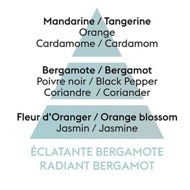 Диффузор Maison Berger Paris ICE CUBE с ароматом RADIANT BERGAMOT, 125 мл