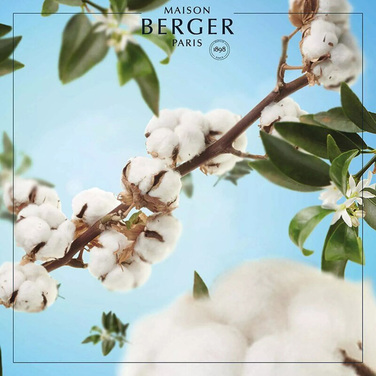 Аромалампа Maison Berger Paris ICE CUBE PLUMES, 256 мл + Наполнитель с ароматом COTTON CARESS, 250 мл