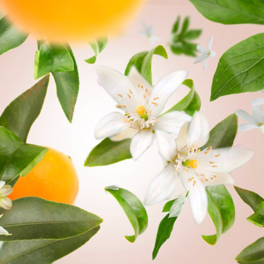 Аромалампа Maison Berger Paris LILLY NUDE, 310 мл + Наполнитель с ароматом ORANGE BLOSSOM, 250 мл