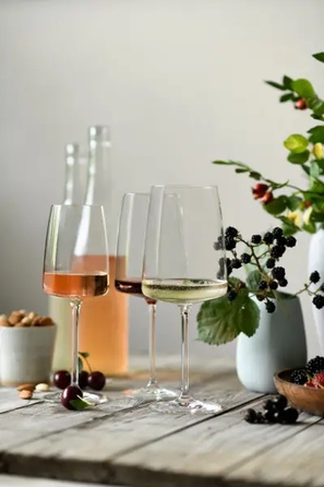 Келих для червоного вина_Flavoursome & Spice 0,660 л 120593