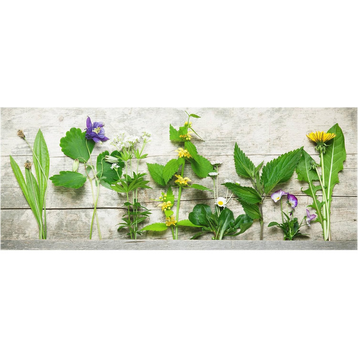 Скляний фартух із зображенням трав 125 х 50 см Bilderwelten
