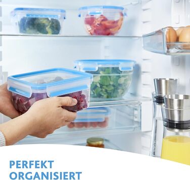 Набір контейнерів для зберігання продуктів EMSA Clip & Close, прямокутні, 5 x 0,8 л, коробки для зберігання, 100 герметичні, придатні для миття в посудомийній машині, морозильної камери та мікрохвильової печі, прозорі, сині, зроблені в Німеччині, N10307 (