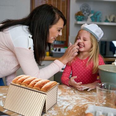 Форма для випікання тостів з кришкою 19,2x10,2x11,5 см рожеве золото PTJJXA