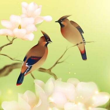 Дизайнерський кухонний бризкозахисний екран з алюмінієвого композиту, кухонний фартух, товщина 3 мм, 60x100 см, (Чайбс)