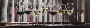 Набір з 2 келихів для червоного вина Шираз 631 мл, Performance Riedel