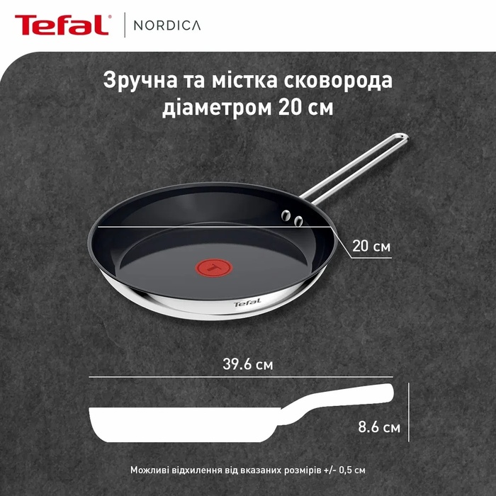 Tefal Сковорода Nordica, 20см, нержавіюча сталь