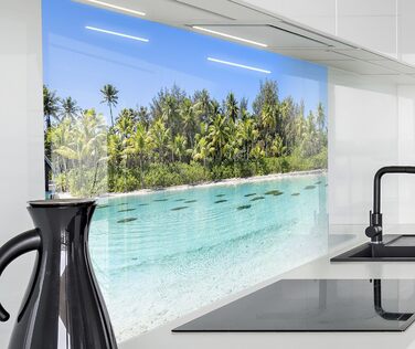 Кухонний фартух timalo зі скляним виглядом Північне море, очерет, захід сонця, океан, солома 2 мм акрилове скло Бризокості для плити, кухонний скляний фартух, акрилова скляна настінна панель, захисна панель для фартуха (220 x 58 см, 301- Морський)