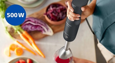 Погружной блендер Philips HR2522/00 (7179876)