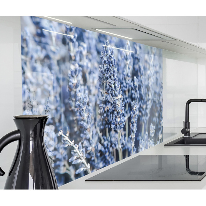 Кухонний фартух timalo зі скляним виглядом Північне море, очерет, захід сонця, океан, солома 2 мм акрилове скло Бризокості для плити, кухонний скляний фартух, акрилова скляна настінна панель, захисна панель для фартуха (180 x 58 см, 322- Блакитно-лавандов