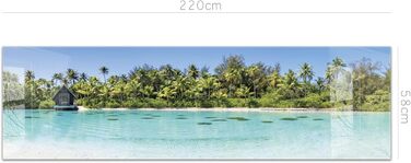 Кухонний фартух timalo зі скляним виглядом Північне море, очерет, захід сонця, океан, солома 2 мм акрилове скло Бризокості для плити, кухонний скляний фартух, акрилова скляна настінна панель, захисна панель для фартуха (220 x 58 см, 301- Морський)