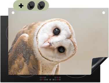 Фартух для плити, кухонний фартух, вініл, 78x52 см, декор для кухні, облицювання стіни, кришка для плити - сіро-чорна (сипуха - тварина, 51,5Д x 76Ш см)