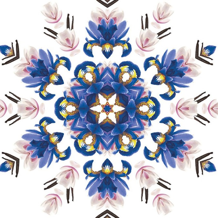 Дифузор для автівки Maison Berger Paris CAR WHEEL з ароматом LILIFLORA