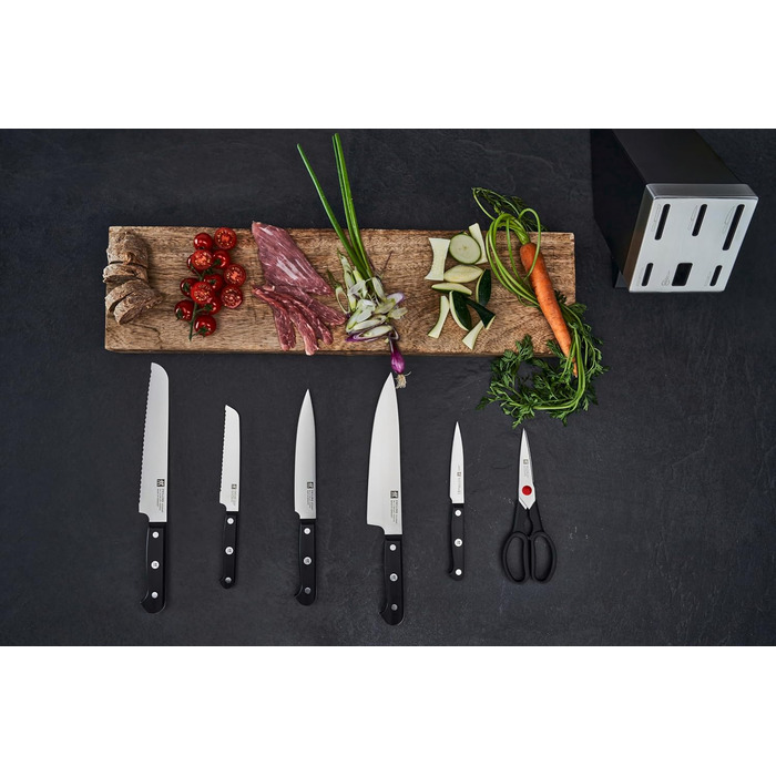 Набор из 5 ножей с ножницами и затачивающим блоком, серый Gourmet Zwilling