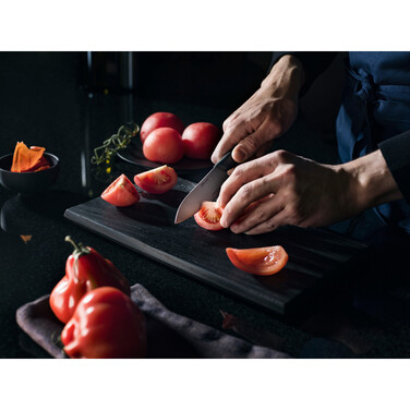 Нож для овощей Fiskars Taiten 10 см (1066833)