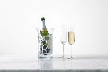 Набір келихів для шампанського 0,21 л, 6 предметів Pure Schott Zwiesel