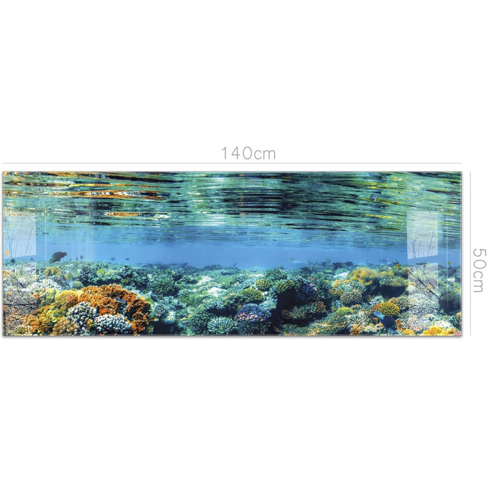 Кухонний фартух Timalo зі скляним виглядом Північне море, очерет, захід сонця, океан, солома 2-мм акрилове скло Бризкозахисна стінка для плити, скляний кухонний фартух, акрилові скляні стінові панелі, захисна панель для фартуха (140 x 50 см, 311- Coral Re