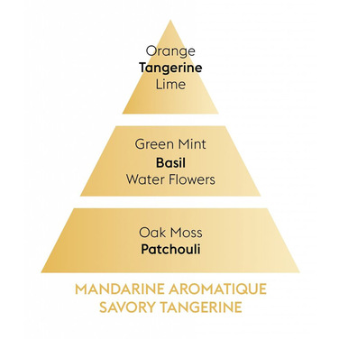 Дифузор для автомобіля Maison Berger Paris з ароматом SAVORY TANGERINE