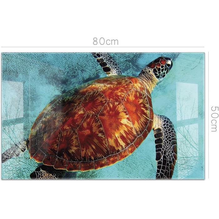 Кухонний фартух timalo зі скляним виглядом Північне море, очерет, захід сонця, океан, солома 2-мм акрилове скло Бризкозахисна стінка для плити, скляний кухонний фартух, акрилові скляні стінові панелі, захисна панель для фартуха (80 x 50 см, 310- Turtle)