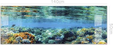 Кухонний фартух Timalo зі скляним виглядом Північне море, очерет, захід сонця, океан, солома 2-мм акрилове скло Бризкозахисна стінка для плити, скляний кухонний фартух, акрилові скляні стінові панелі, захисна панель для фартуха (140 x 50 см, 311- Coral Re