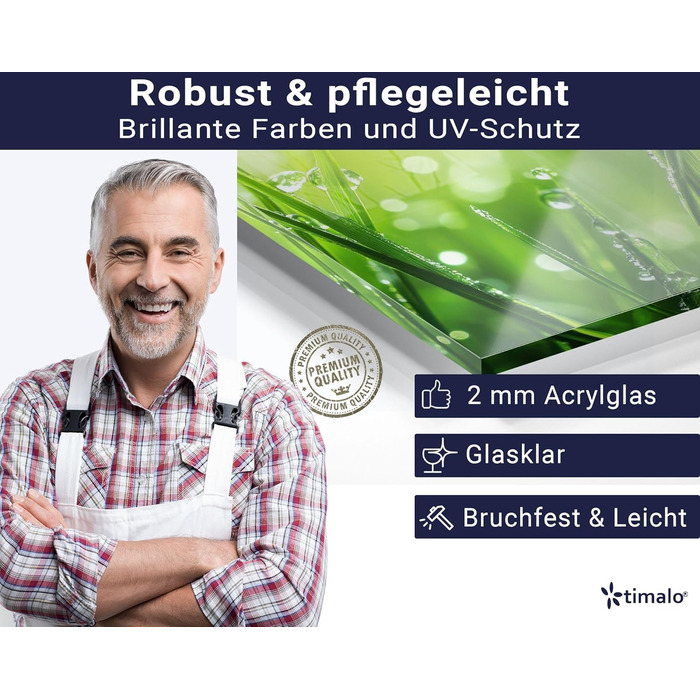 Кухонний фартух timalo зі скляним виглядом Північне море, очерет, захід сонця, океан, солома 2 мм акрилове скло Бризокості для плити, кухонний скляний фартух, акрилові скляні стінові панелі, захисна панель для фартуха (60 x 60 см, 315- Зелена трава)