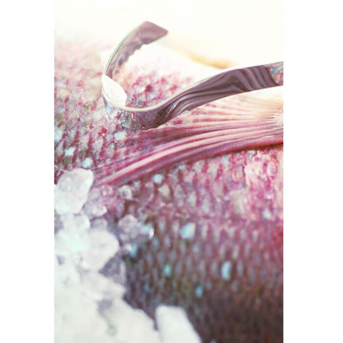 Рыбочистка Rosle, 21 см