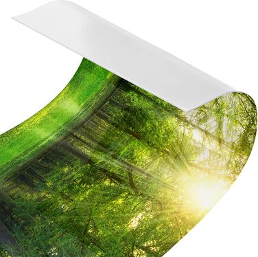 Самоклеючий бризкозахисний екран з дизайном "Ліс"  140 x 40 см micasia