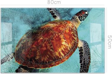 Кухонний фартух timalo зі скляним виглядом Північне море, очерет, захід сонця, океан, солома 2-мм акрилове скло Бризкозахисна стінка для плити, скляний кухонний фартух, акрилові скляні стінові панелі, захисна панель для фартуха (80 x 50 см, 310- Turtle)