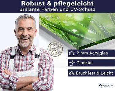 Кухонний фартух timalo зі скляним виглядом Північне море, очерет, захід сонця, океан, солома 2 мм акрилове скло Бризокості для плити, кухонний скляний фартух, акрилові скляні стінові панелі, захисна панель для фартуха (60 x 60 см, 315- Зелена трава)