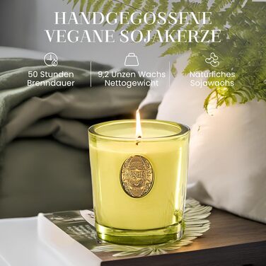 Ароматна свічка M&SENSE Лісова хатина, ароматичні свічки у склянці, натуральна соєва свічка, час горіння 55 годин, подарункові свічки для жінок та чоловіків, подарункова свічка (білий чай та шавлія, 260 г)
