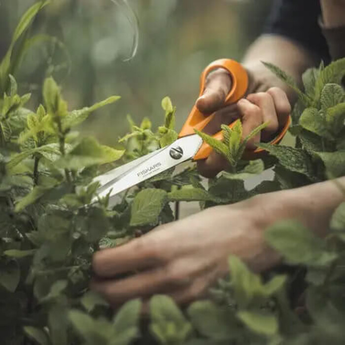 Ножиці універсальні Fiskars Classic 21 см (1001539)