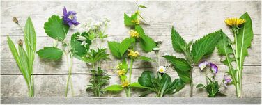 Скляний фартух із зображенням трав 125 х 50 см Bilderwelten
