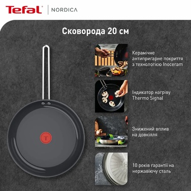 Tefal Сковорода Nordica, 20см, нержавіюча сталь