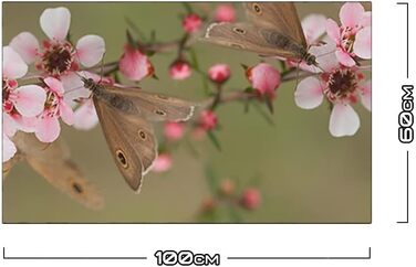 Дизайнерський кухонний фартух з алюмінієвого композиту, кухонний фартух, товщина 3 мм, 60x100 см, (квітуча вишня)