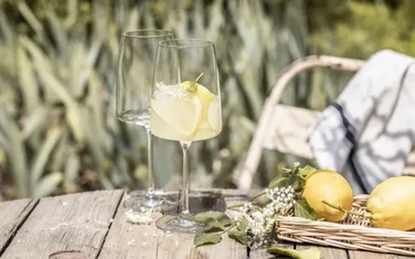 Келих для червоного вина_Fruity & Delicate 0,535 л 120586
