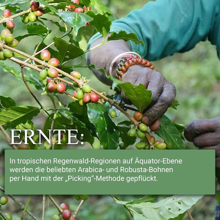 Кофемашина капсульная черная Sensual Martello и набор из 200 кофейных капсул Martello