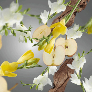 Аромат для диффузора Maison Berger Paris ANTI-ANIMAL FRUITY & FLORAL, 200 мл