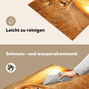 Фартух для плити, кухонний фартух, вініл, 78x52 см, декор для кухні, облицювання стіни, кришка для плити - сіро-чорна (Лев - Захід сонця, 51Д x 59Ш см)