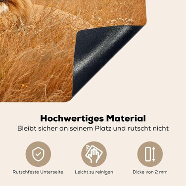 Фартух для плити, кухонний фартух, вініл, 78x52 см, декор для кухні, облицювання стіни, кришка для плити - сіро-чорна (Лев - Захід сонця, 51Д x 59Ш см)